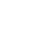 Car Protection Icon